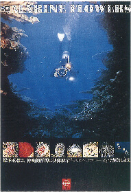 ［1975年／沖縄国際海洋博］松下電器映像出展「マリンフラワーズ」